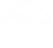 Logo-Effekt